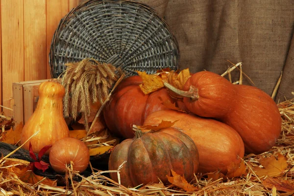 Pumpkins with wicker stand and crate on straw on sackcloth background — Stock Photo, Image