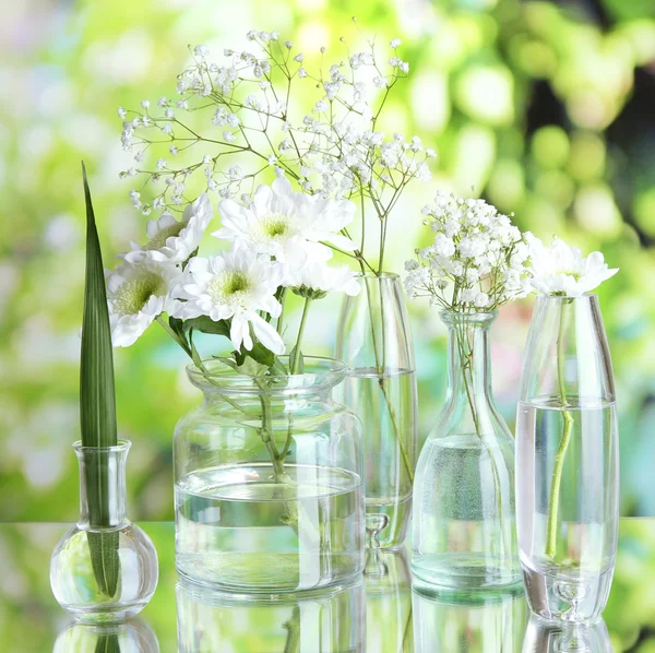 Planten in verschillende glazen containers op natuurlijke achtergrond — Stockfoto