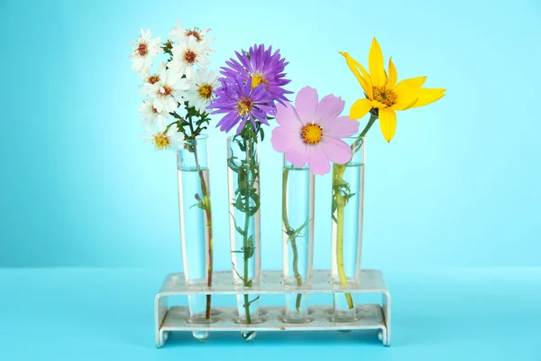 Flowers in test-tubes — Stock Photo, Image