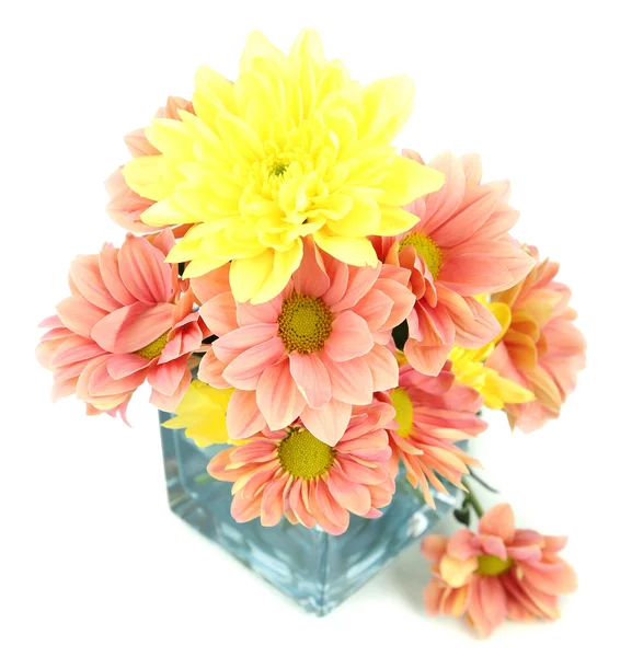 Chryzantemy kwiaty w wazon — Zdjęcie stockowe