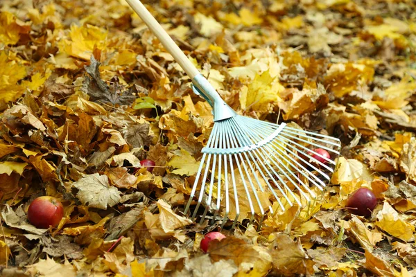 Cleaning of autumn leaves in park — Stock Photo, Image