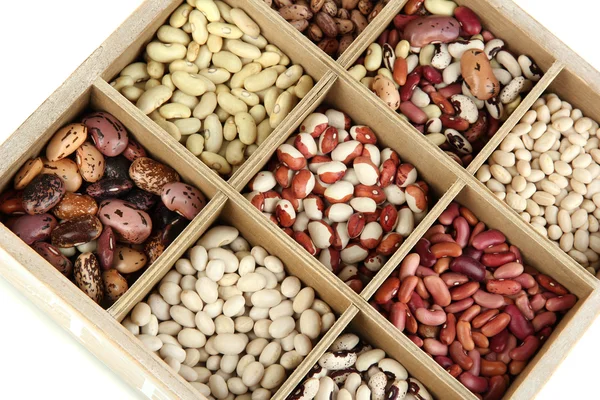 Diversos frijoles en secciones de caja de madera aislados en blanco — Foto de Stock