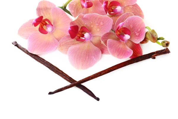 Blooming orchid and vanilla sticks — Stock Photo, Image