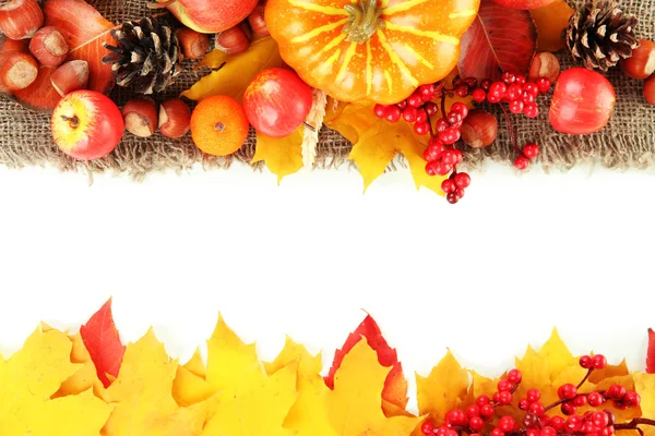 Beautiful autumn composition, isolated on white — Stock Photo, Image