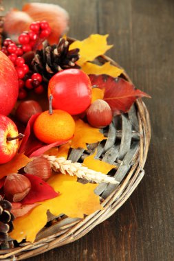 güzel sonbahar kompozisyon