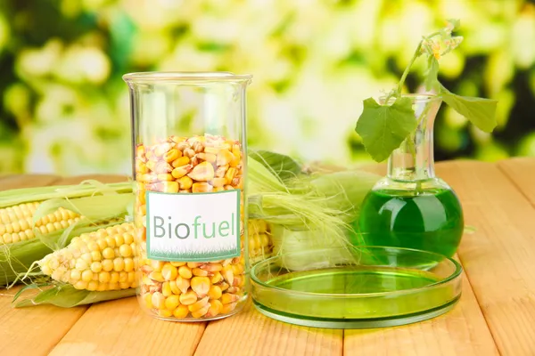 Photo conceptuelle du biocarburant. Sur fond lumineux — Photo