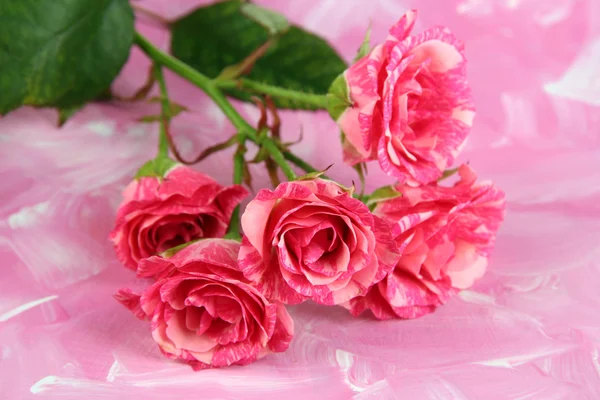 Beautiful pink roses close-up, on color background — Stock Photo, Image