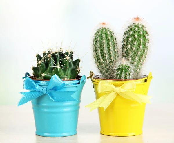 Mooie cactussen in heldere emmers op houten tafel — Stockfoto
