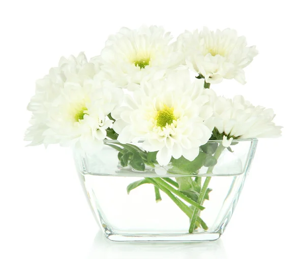 Beautiful flowers in bowl isolated on white — Stock Photo, Image