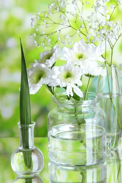 Planten in verschillende glazen containers op natuurlijke achtergrond — Stockfoto