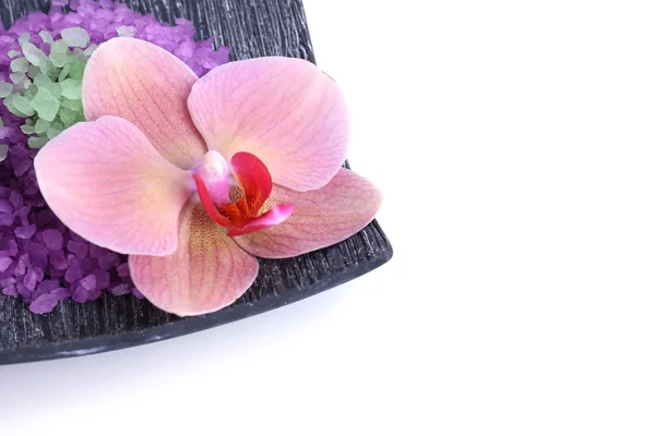 Vackra blommande orkidé och hög med havssalt på plattan, isolerad på vit — Stockfoto