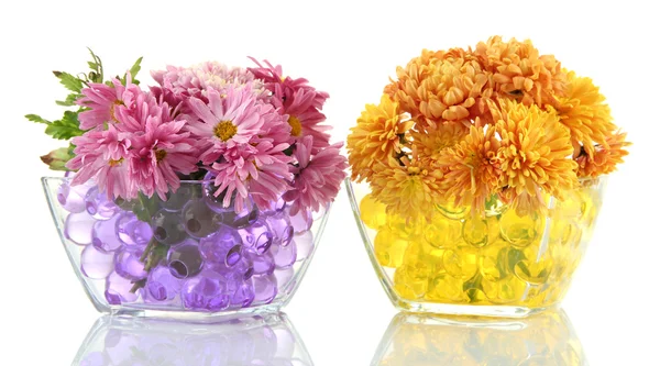 Hermosas flores en jarrones con hidrogel aislado en blanco —  Fotos de Stock
