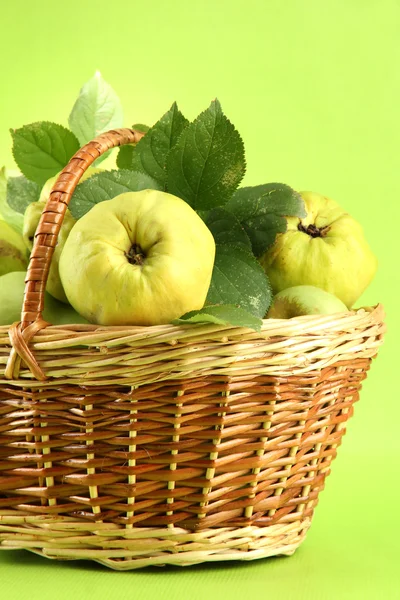 Coings doux avec des feuilles dans le panier, sur fond vert — Photo