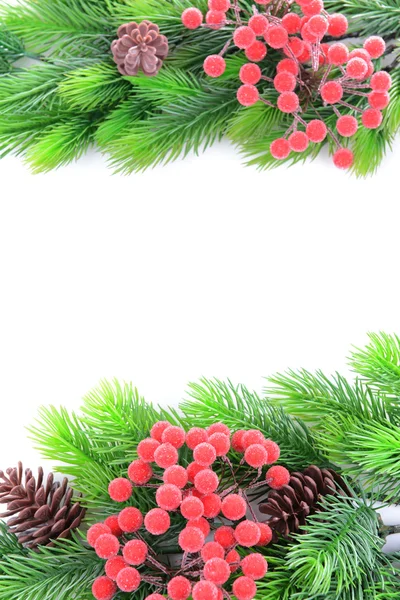 Vánoční strom větve na bílém pozadí — Stock fotografie