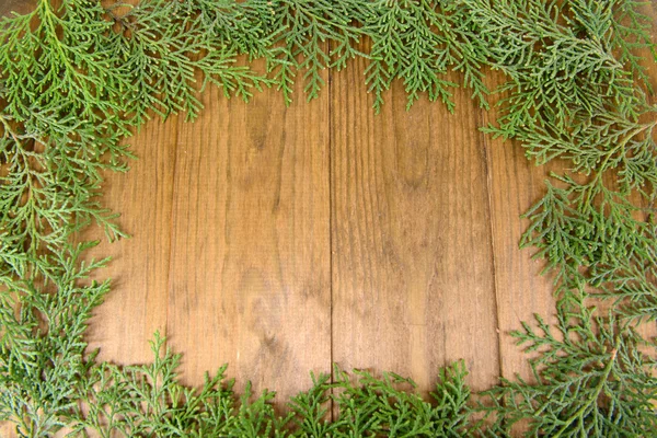 Thuja grenar på trä bakgrund — Stockfoto