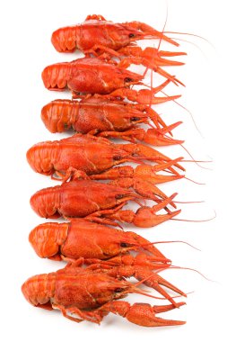 beyaz izole lezzetli haşlanmış crayfishes