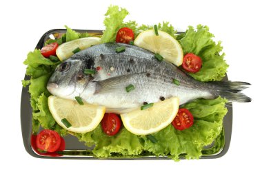 dorado balığı üzerinde beyaz izole