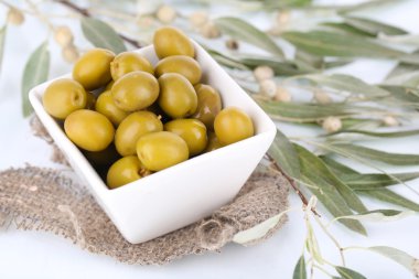 Zeytin dal üstünde çul kase yakın çekim