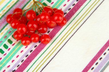 Kartopu kumaş zemin üzerine kırmızı meyveler