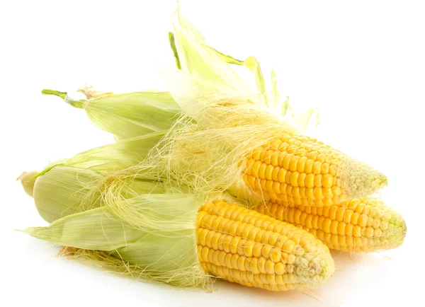 Świeża kukurydza, na białym tle — Zdjęcie stockowe