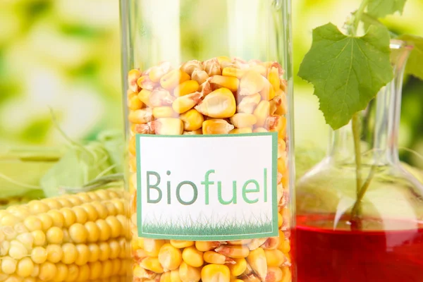 Conceptual photo of bio fuel. On bright background — Zdjęcie stockowe