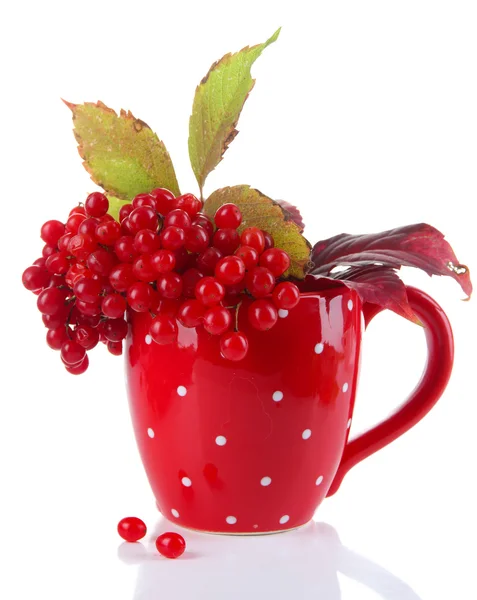 Червоні ягоди калини в чашці, ізольовані на білому — стокове фото