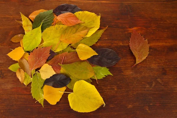 Beautiful autumn leaves on wooden background — Stock Photo, Image