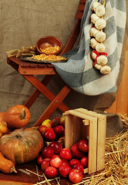 Apples in crate and pumpkins on wooden board and chair on sackcloth background — Stock Photo, Image