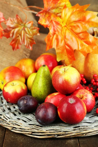 Composición otoñal de frutas y calabazas en primer plano de la mesa —  Fotos de Stock