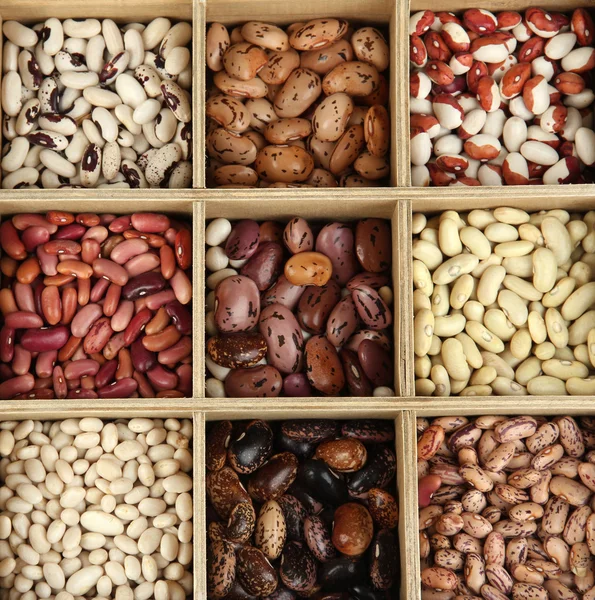화이트에 고립 된 나무 상자 섹션에서 다양 한 콩 — 스톡 사진