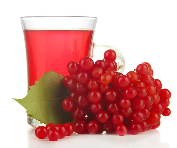 Baies rouges de viorne et tasse de thé isolées sur blanc — Photo