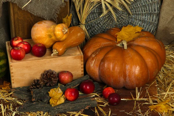 Pumpkins and apples on crate on straw close up — Stock Photo, Image