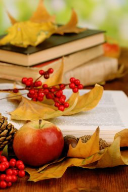 kitap ve sonbahar yaprakları doğal zemin üzerine ahşap tablo