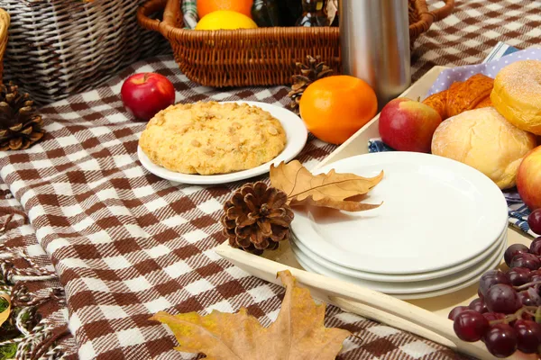 Picnic al aire libre de cerca — Foto de Stock