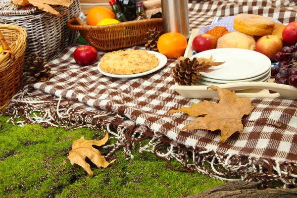 Picnic al aire libre de cerca — Foto de Stock