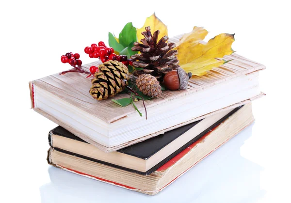 Books and autumn leaves isolated on white — Stock Photo, Image