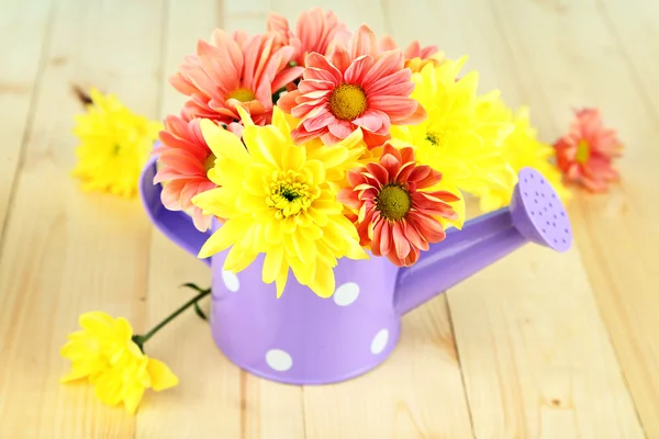 Chrysanthemum flowers in watering can on wooden table close-up — Stock Photo, Image