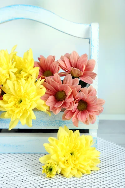 Schöne Blumen im Korb, auf hellem Hintergrund — Stockfoto