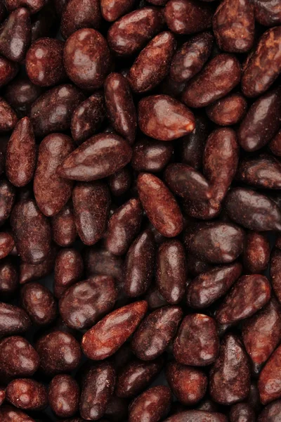 Sunflower grains in chocolate, close up — Stock Photo, Image