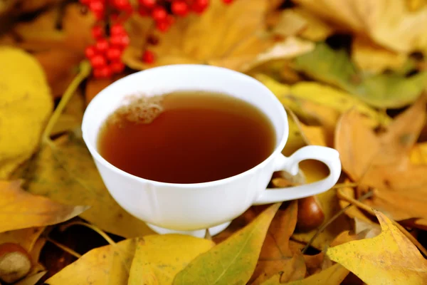 Tasse Heißgetränk, auf gelbem Hintergrund — Stockfoto