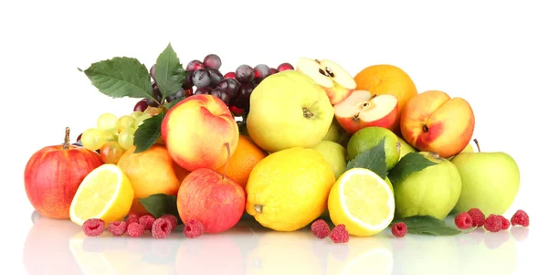 Assortment of exotic fruits isolated on white — Stock Photo, Image