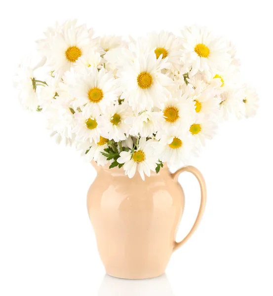 Daisies in vase isolated on white — Stock Photo, Image