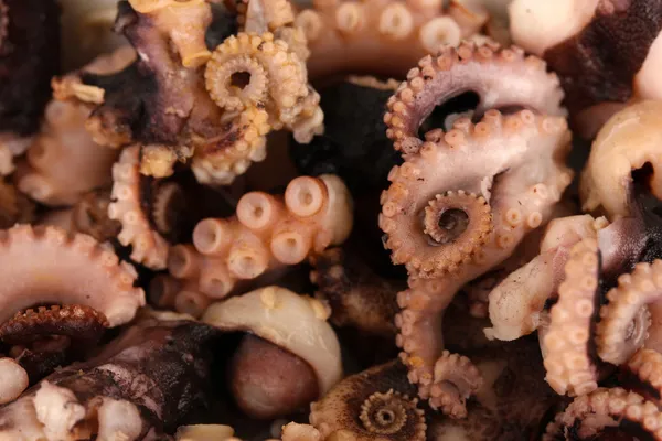 Tentacles of octopus, macro — Stock Photo, Image
