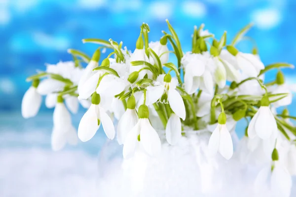 Boeket van snowdrop bloemen in vaas met sneeuw, op lichte achtergrond — Stockfoto