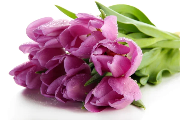 Beautiful bouquet of purple tulips, isolated on white — Stock Photo, Image