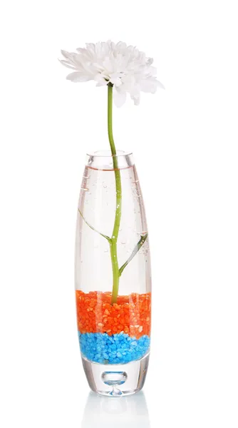 Decorative vase with flower and sea salt isolated on white — Stock Photo, Image