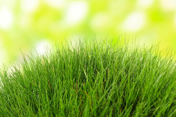Красивая зеленая трава на фоне природы — стоковое фото