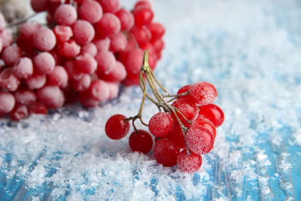 Bagas vermelhas de viburnum com cristais de gelo, sobre fundo azul — Fotografia de Stock