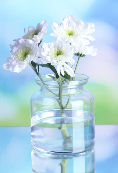 Flowers in bank on natural background — Stock Photo, Image