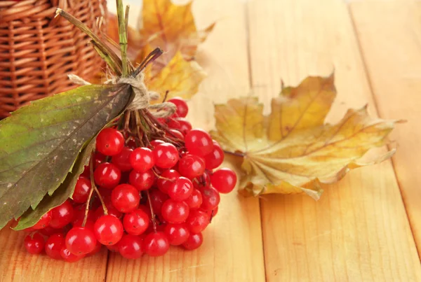 Red berries of viburnum with basket and yellow leaves on wooden background — Stock Photo, Image